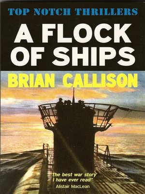 cover image of A Flock of Ships